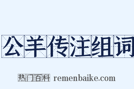 公羊传注组词是什么意思的图片